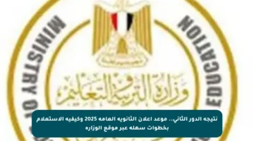 نتيجة الدور الثاني.. موعد إعلان الثانوية العامة 2025 وكيفية الاستعلام بخطوات سهلة عبر موقع الوزارة